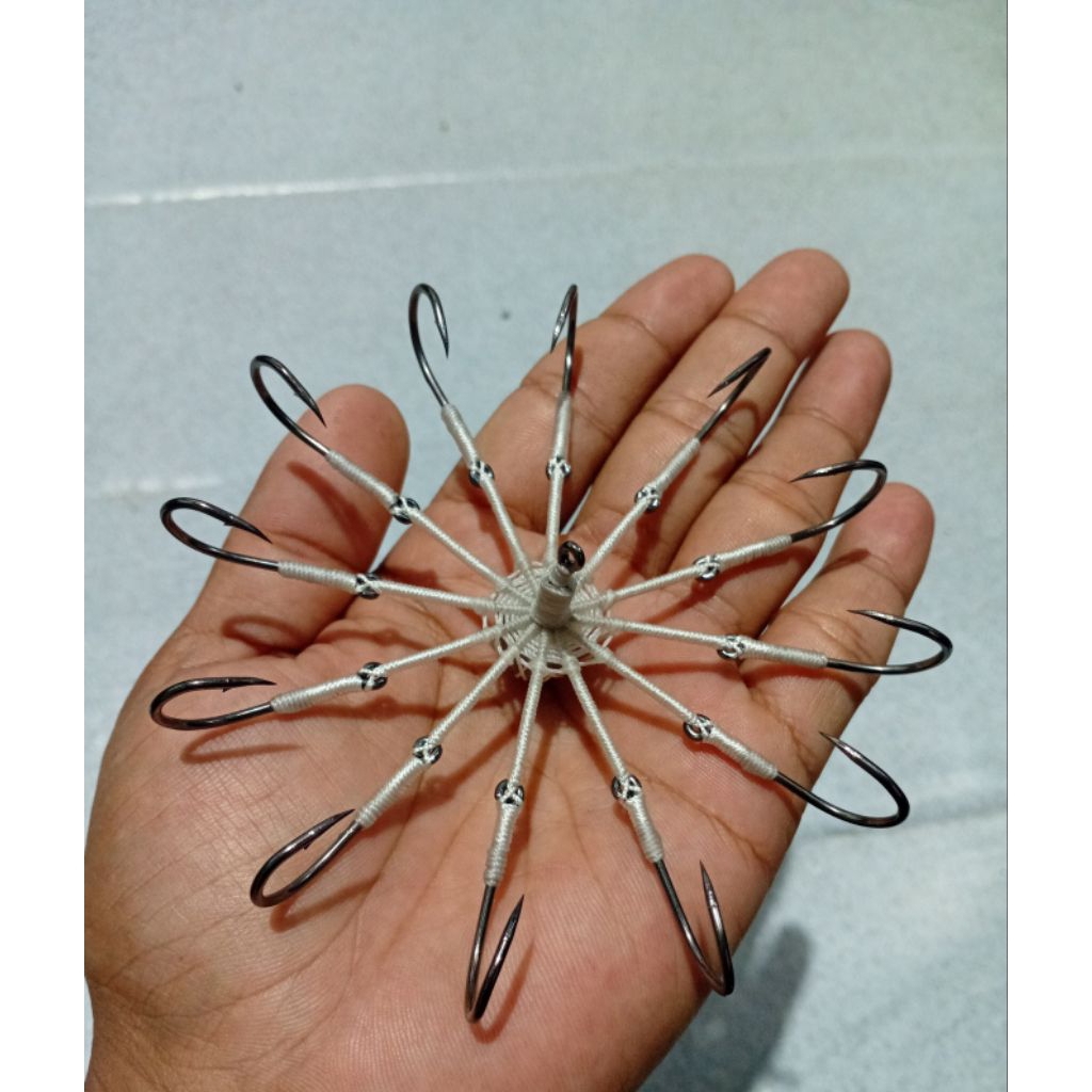 kail garong matahari 12 kail