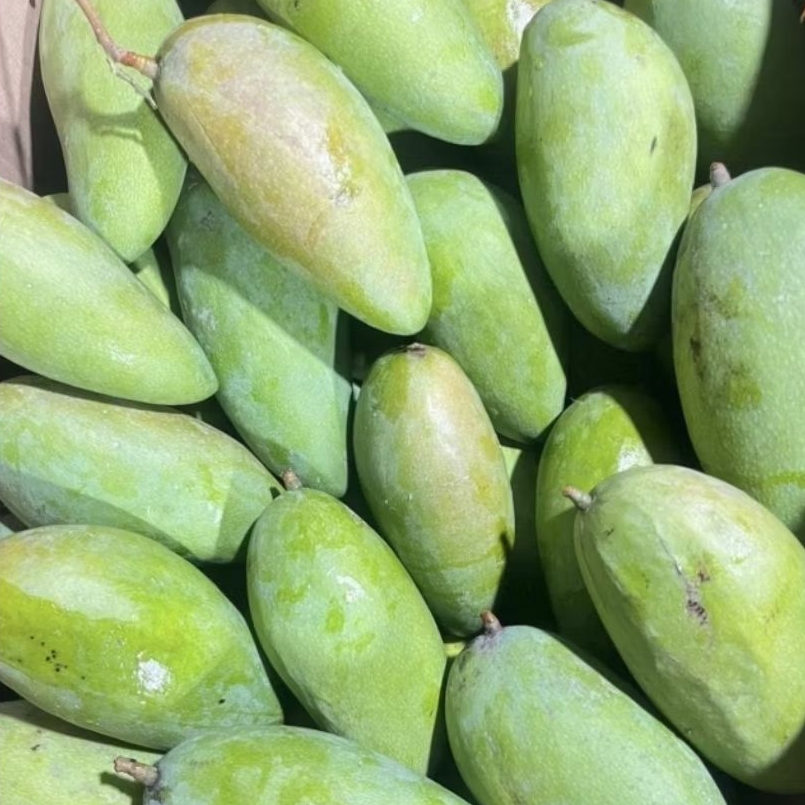 [KIRIM INSTAN/SAMEDAY] Mangga Kiojay Dokmay MENGKAL RUJAK