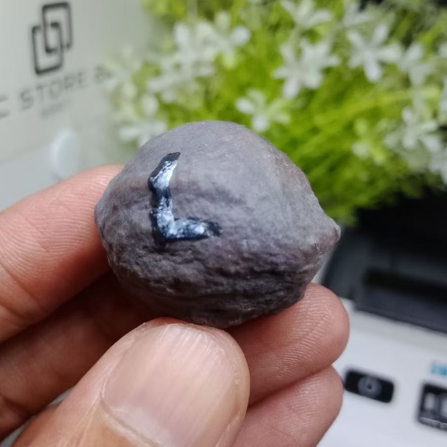 Muncang Adu YANTI SAVAGE kode