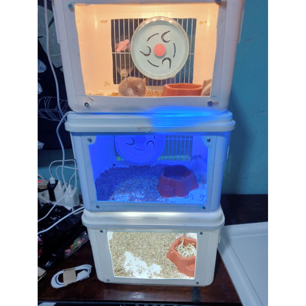 kandang hamster, kandang landak mini, kandang sg