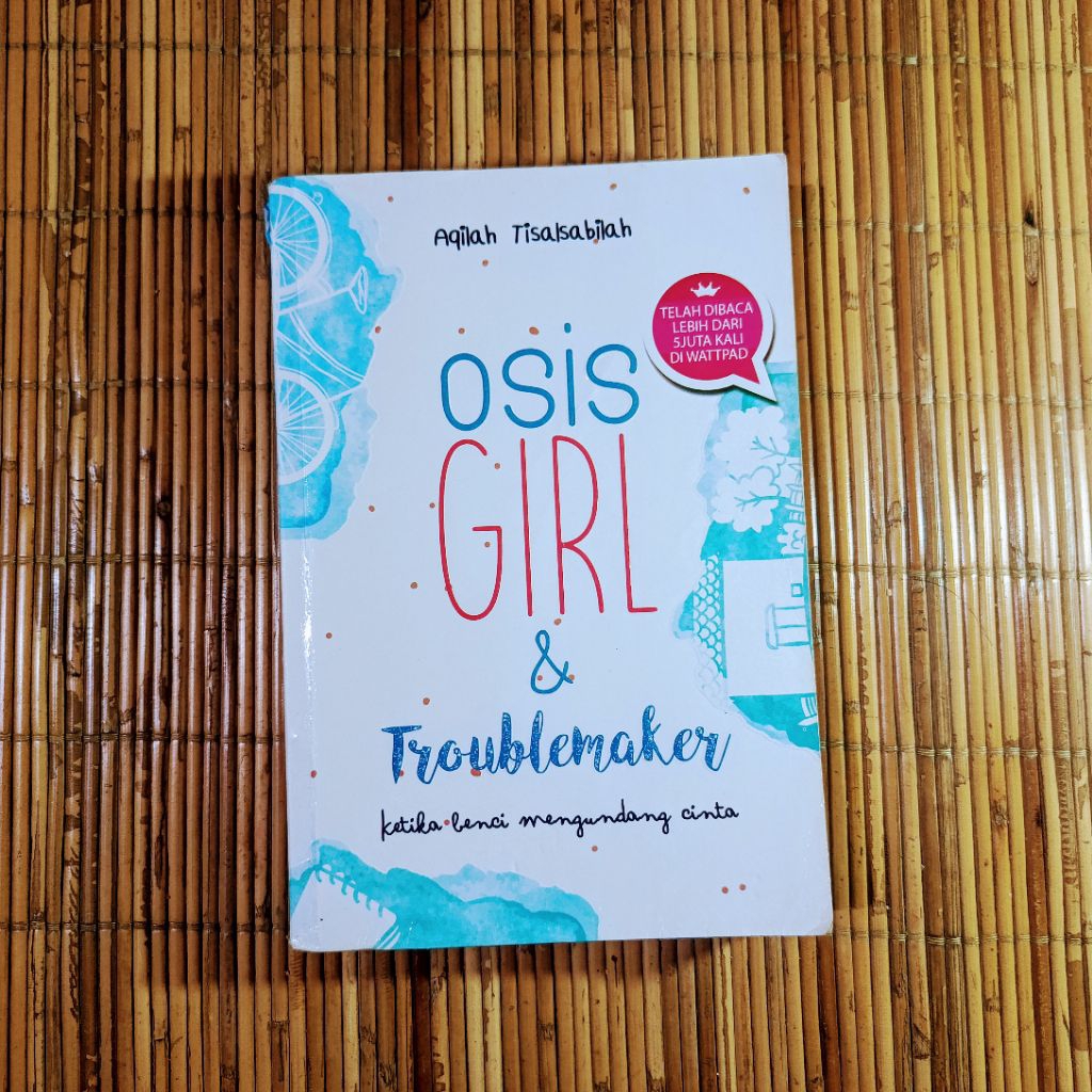 Novel Original OSIS Girl and Troublemaker (Preloved)