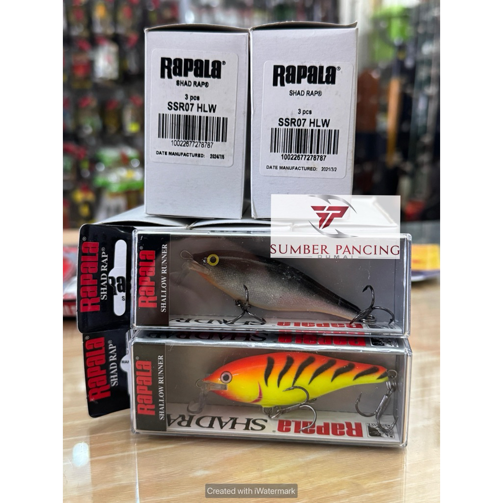 LURE RAPALA SHAD RAP SHALLOW RUNNER-7