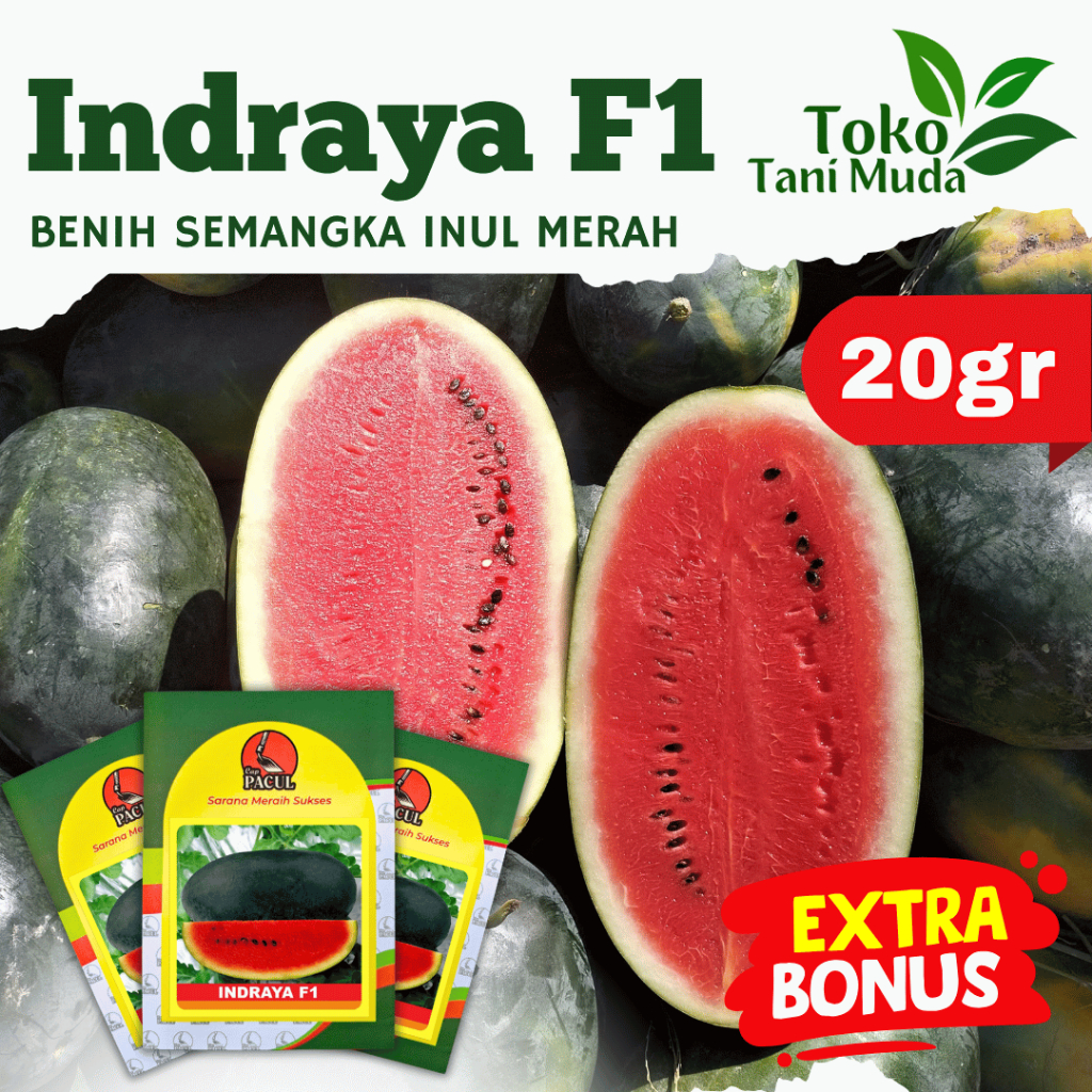 BENIH SEMANGKA INUL MERAH INDRAYA F1 CAP KUJANG KEMASAN 20gr