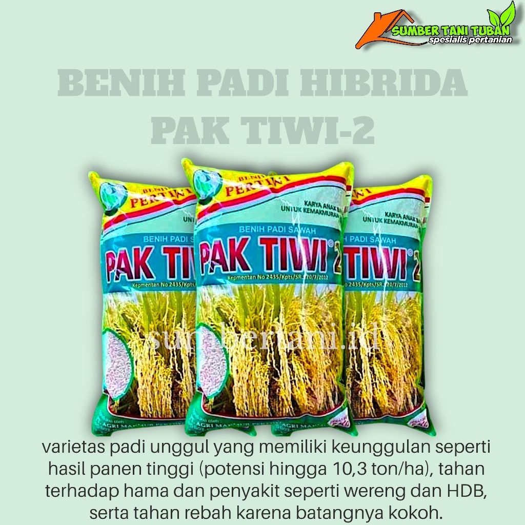 BENIH PADI SAWAH HIBRIDA F1 "PAK TIWI 2" KEMASAN 5 KG