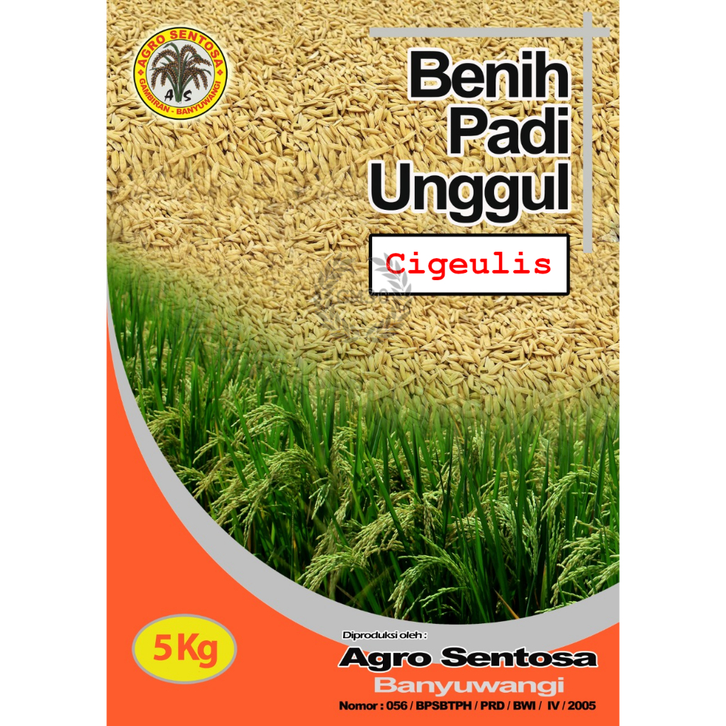BENIH PADI UNGGUL PREMIUM VARIETAS CIGEULIS KEMASAN 5 KG