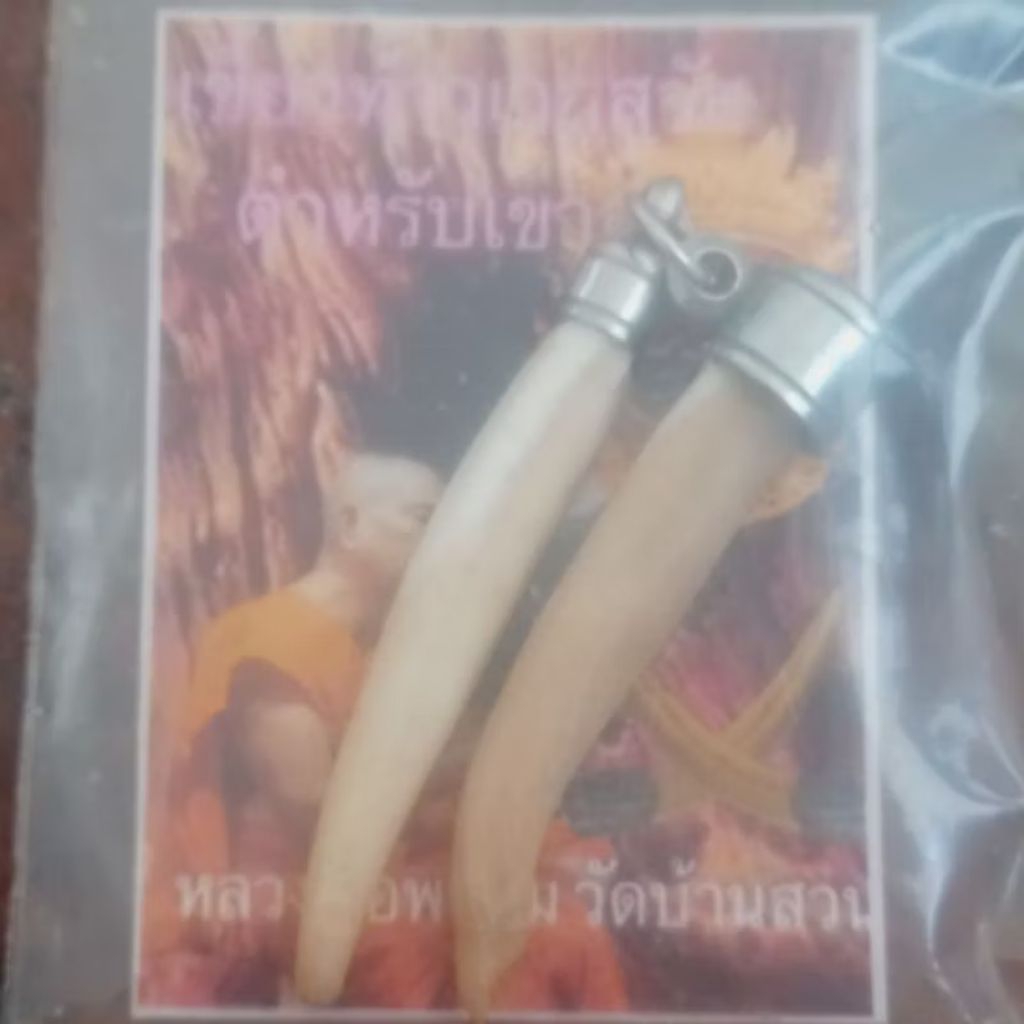 vtfrans kharisma taowesuwan kalung liontin amulet lovers