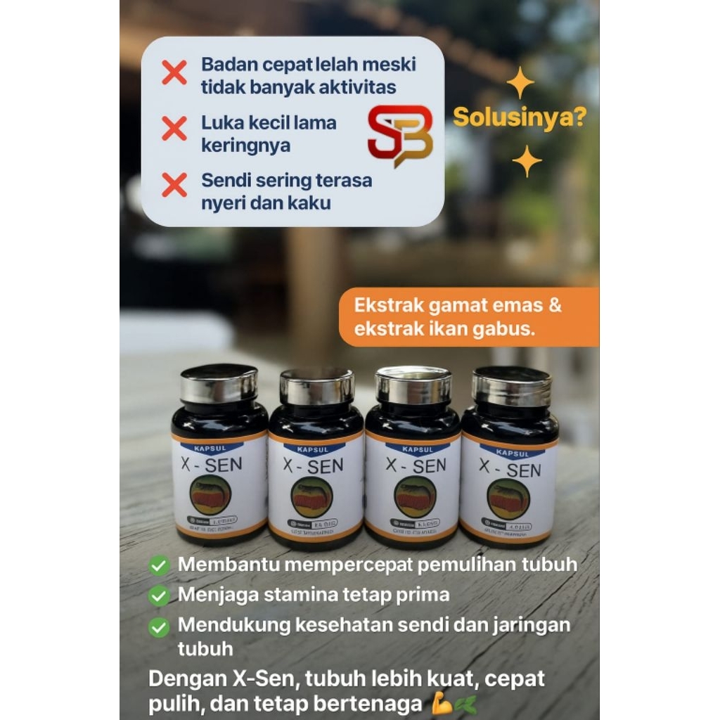 X-SEN Obat Herbal Terstandar Untuk Nyeri Sendi dan Asam Urat 30 kapsul