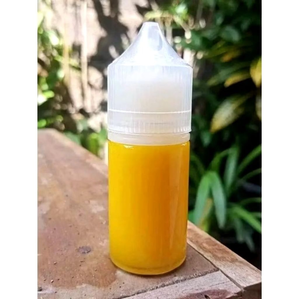 essen oplosan khusus ikan mas babon galapung