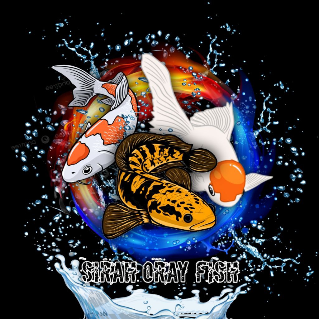 Sticker Channa Ys 8-10cm...