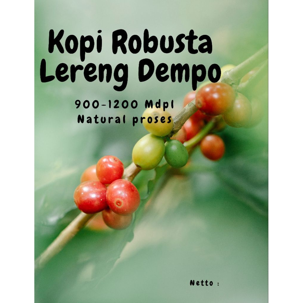 Green Bean Fine Robusta Lahat