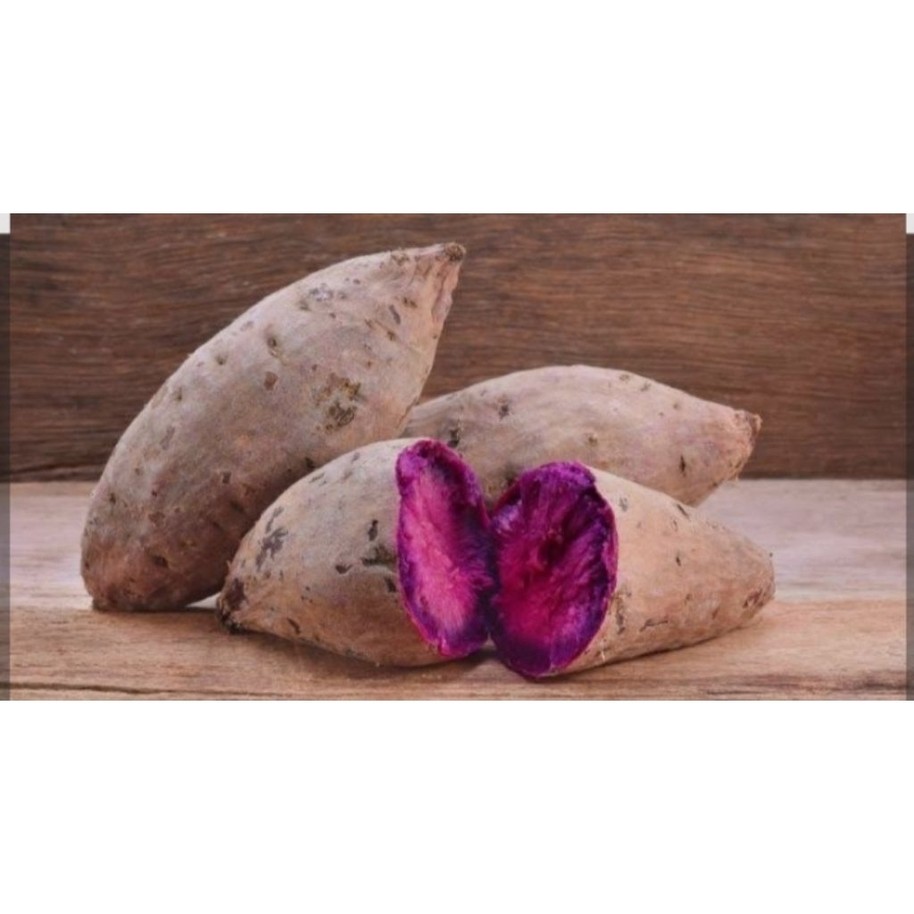 Ubi Ungu,putih, jepang Curah 1 kg