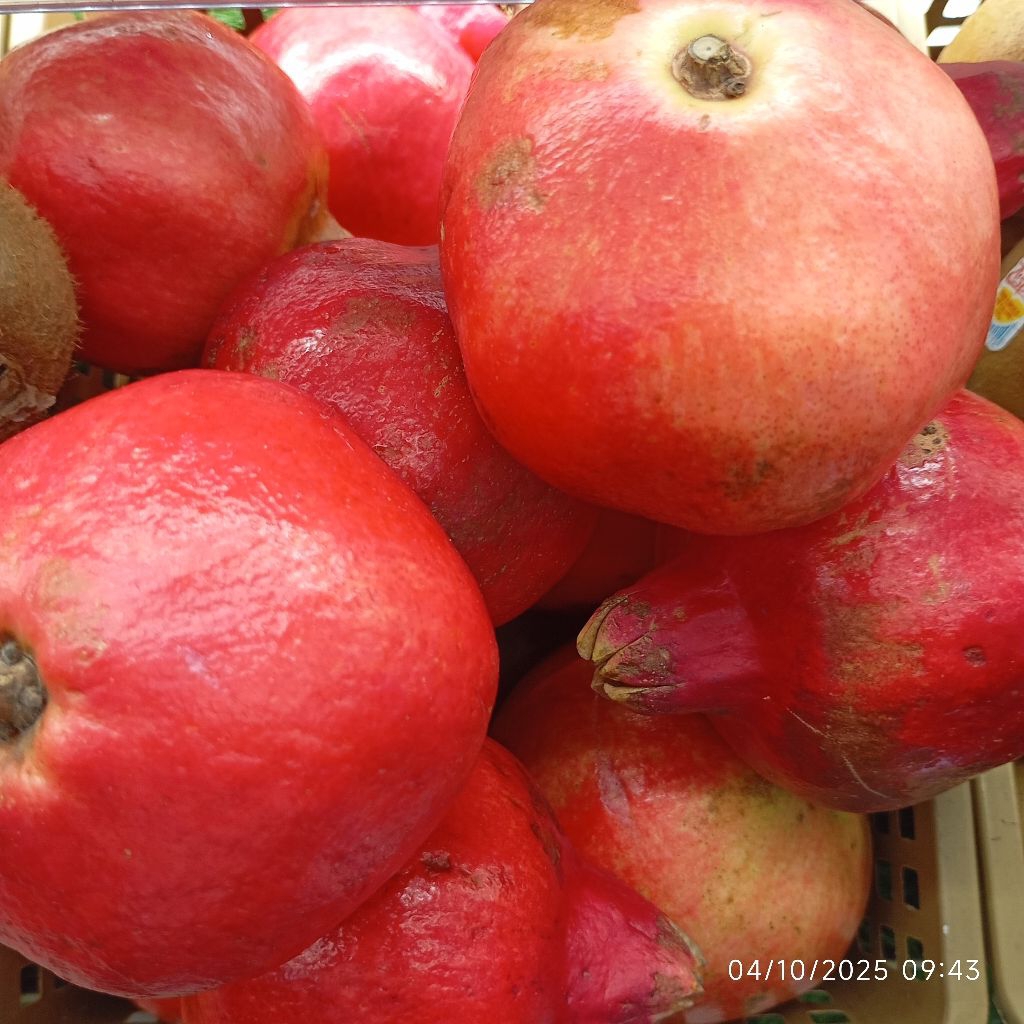 Delima Merah Import Buah Segar 1KG