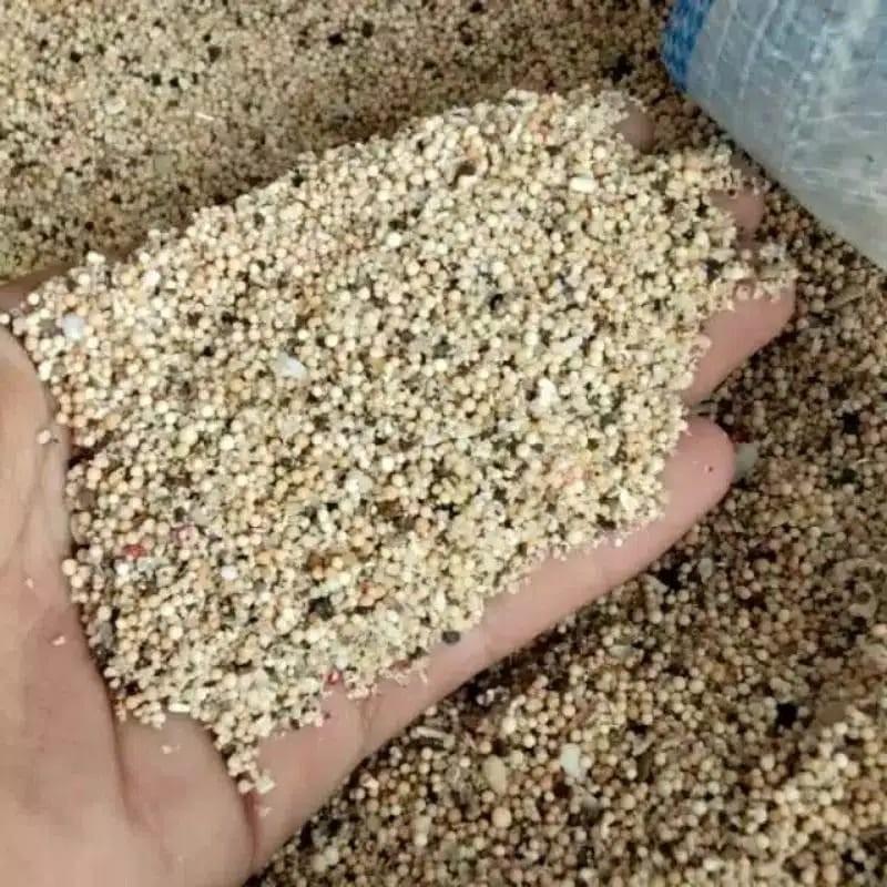 PASIR BALI AQUASCAPE DAN AQUARIUM MURAH 500 G - 1 KG Warna Cerah Bentuk Bulat Halus untuk Penghobi I