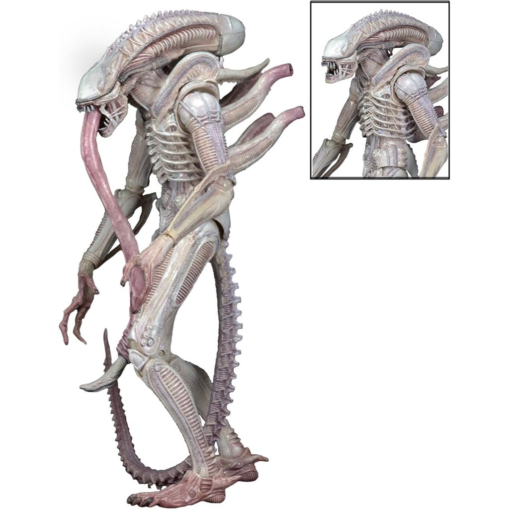 NECA Aliens 7" Scale Series 9 Xenomorph ALBINO Drone Action Figure