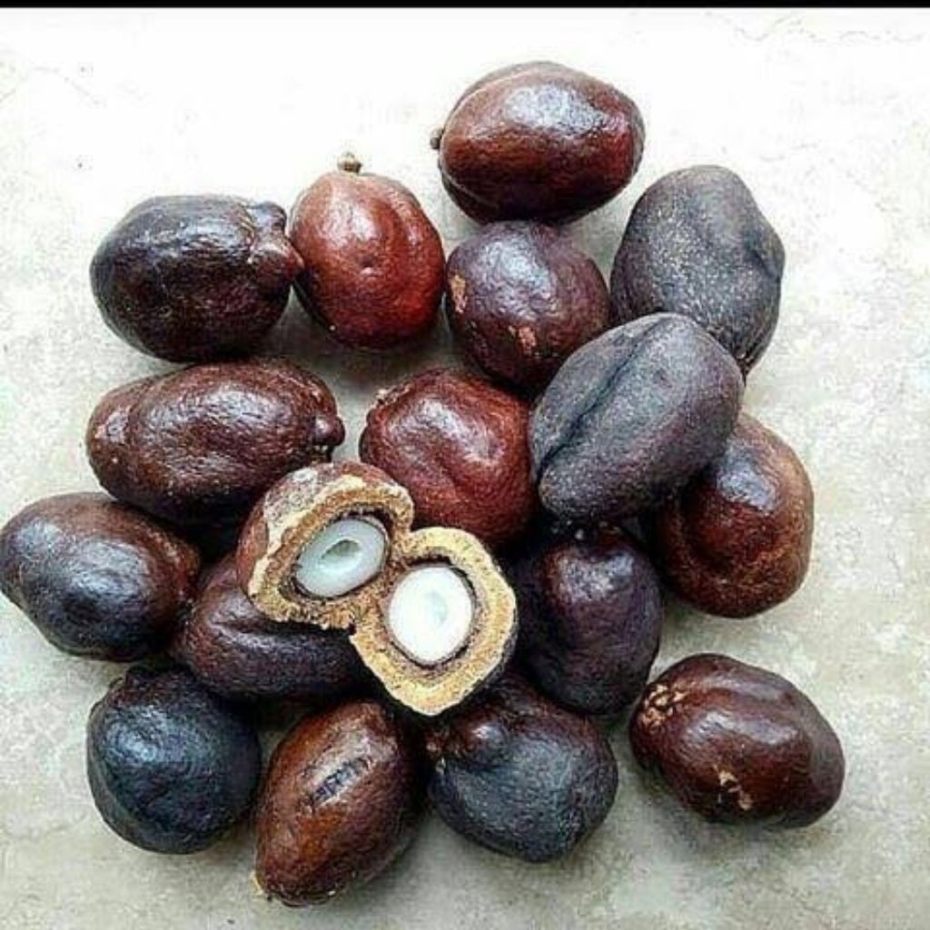 Buah Zuriat Madinah asli 100% 1kg