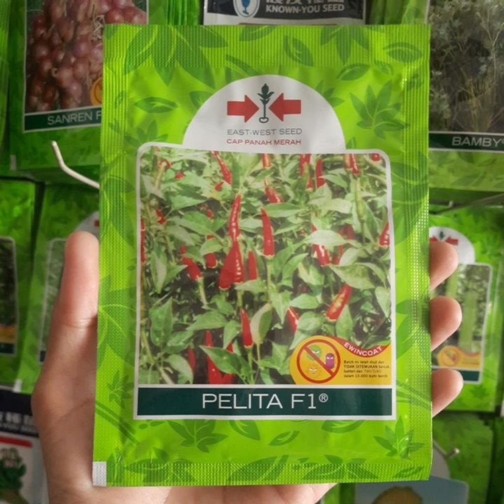 Benih Cabe Rawit Hijau PELITA F1 Isi 2250 biji
