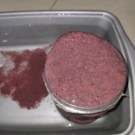 Cacing sutra 1 liter / setaker