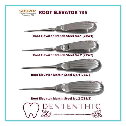 Root Elevator Bein Schezer