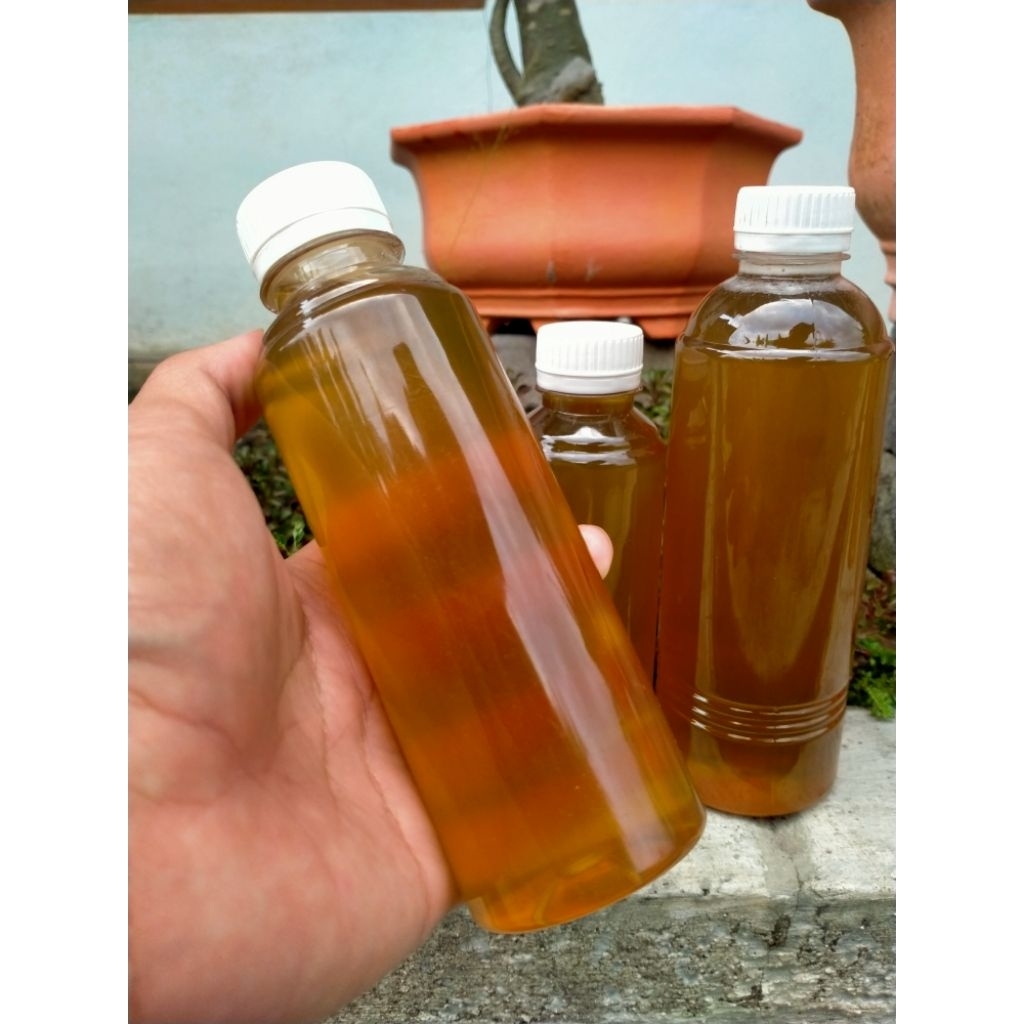 Madu Karet Banyuwangi (100% asli) 250ml-500ml