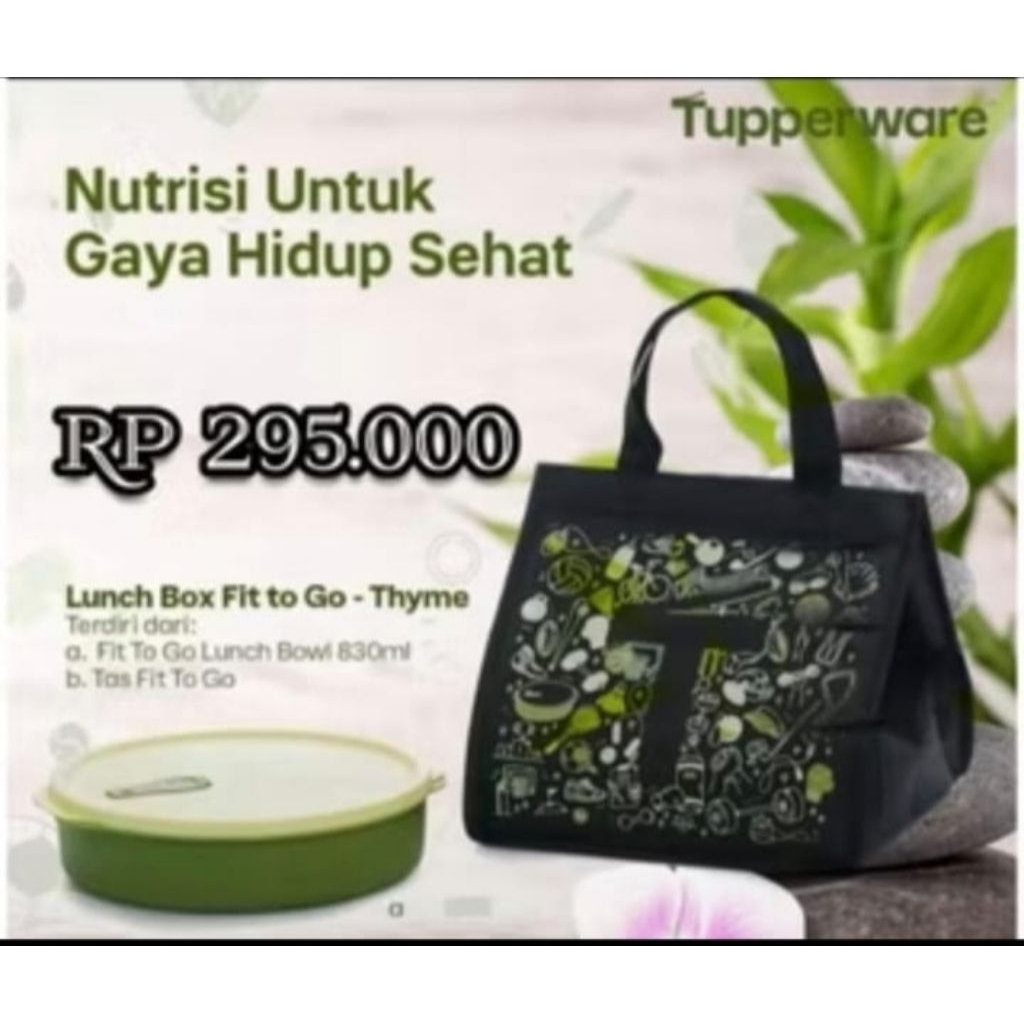 Tupperware Fit to go Lunch Set dapat tas, tempat makan besar skat, botol minum, sendok garfu makan