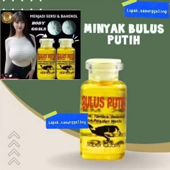 Minyak Bulus Putih Memperbesar Pengencang Payudara / Payudara Padat Terangkat & Montok