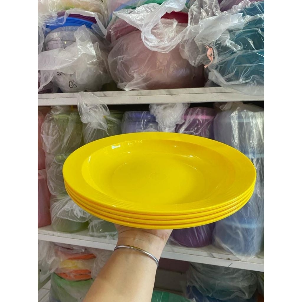 Large deep plate tupperware