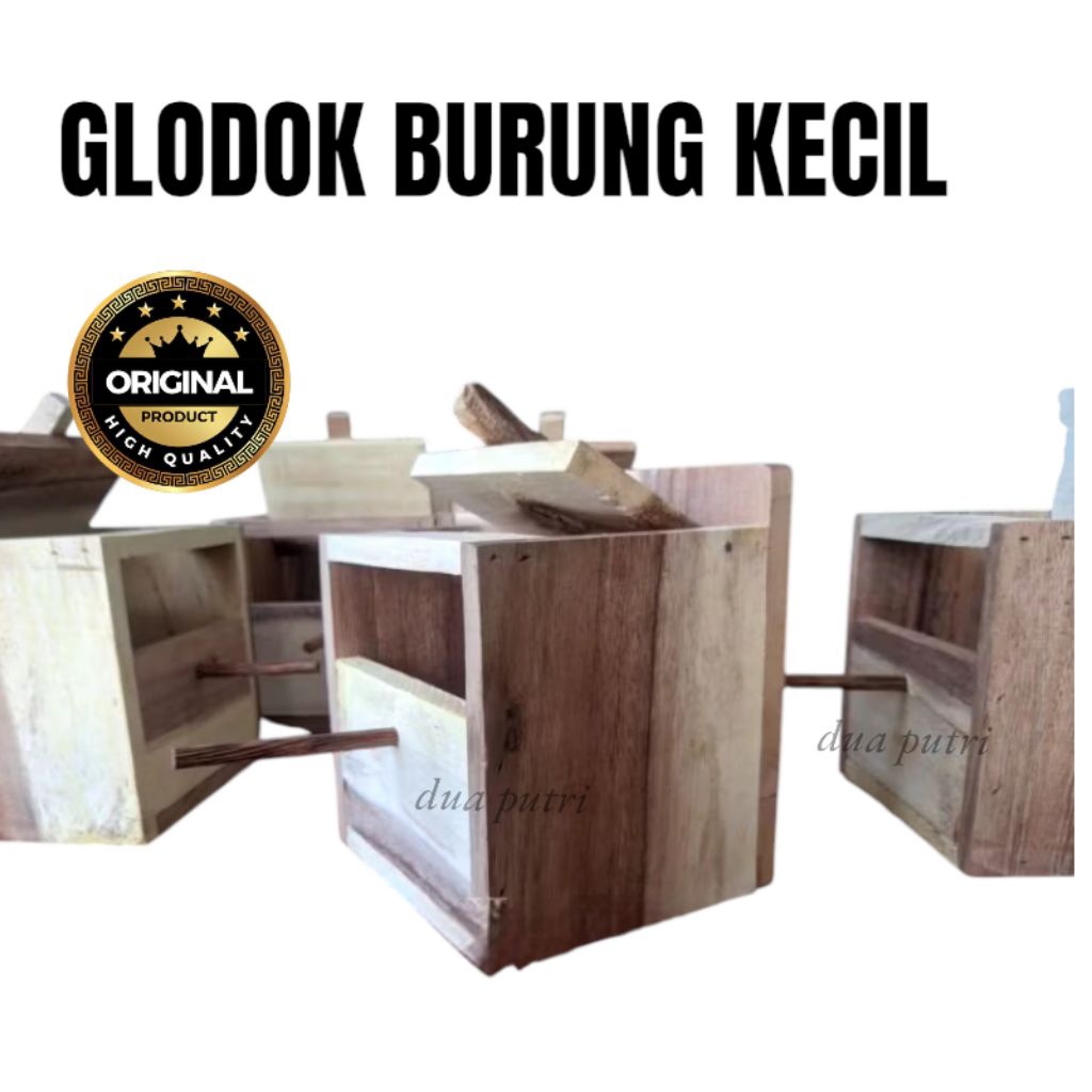 glodok burung emprit , finch / burung kecil