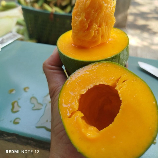 Mangga Alpukat Asli Bangil 1 dus 5 kg