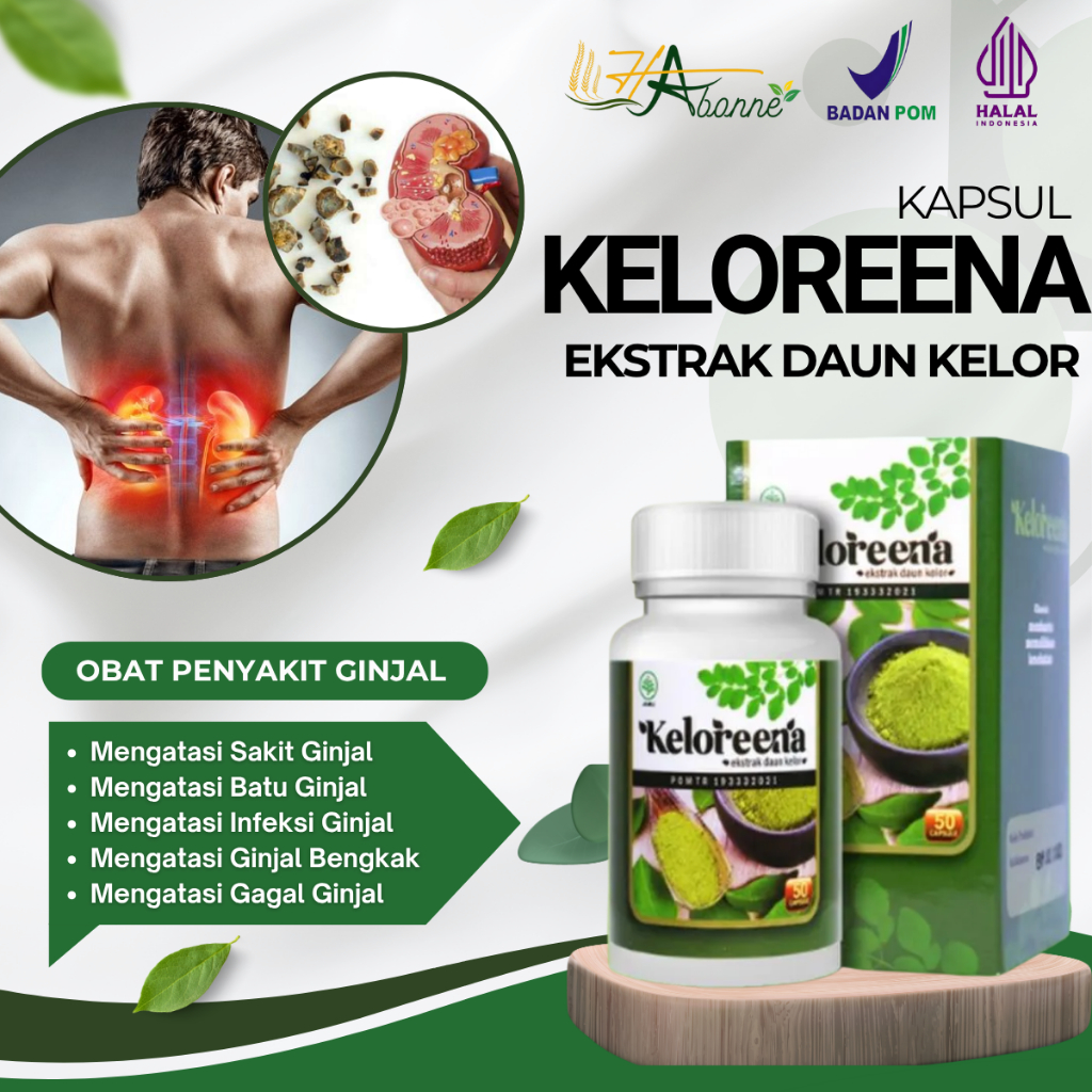 Obat Ginjal Kronis, Obat Gagal Ginjal, Obat Herbal Ginjal Kotor, Obat Batu Ginjal, Obat Infeksi Ginj