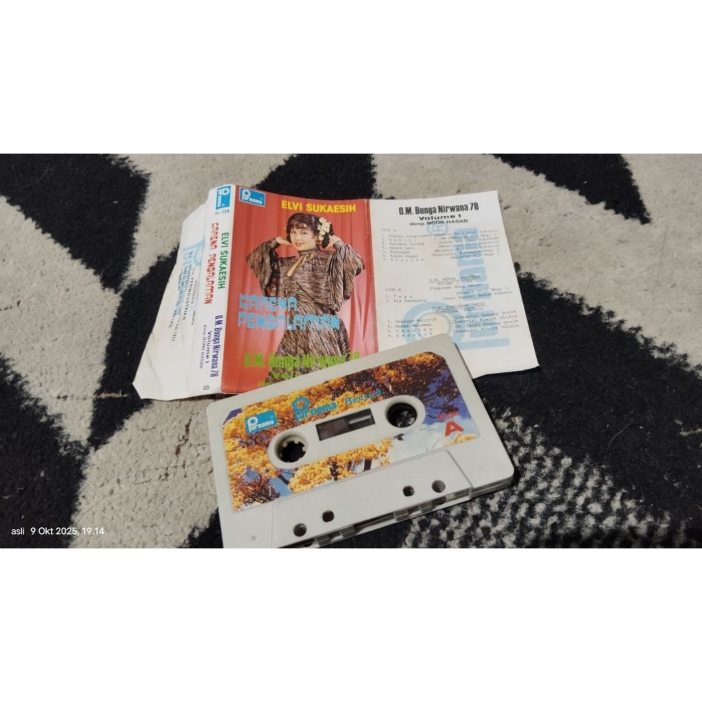 kaset pita elvy sukaesih / karena pengalaman