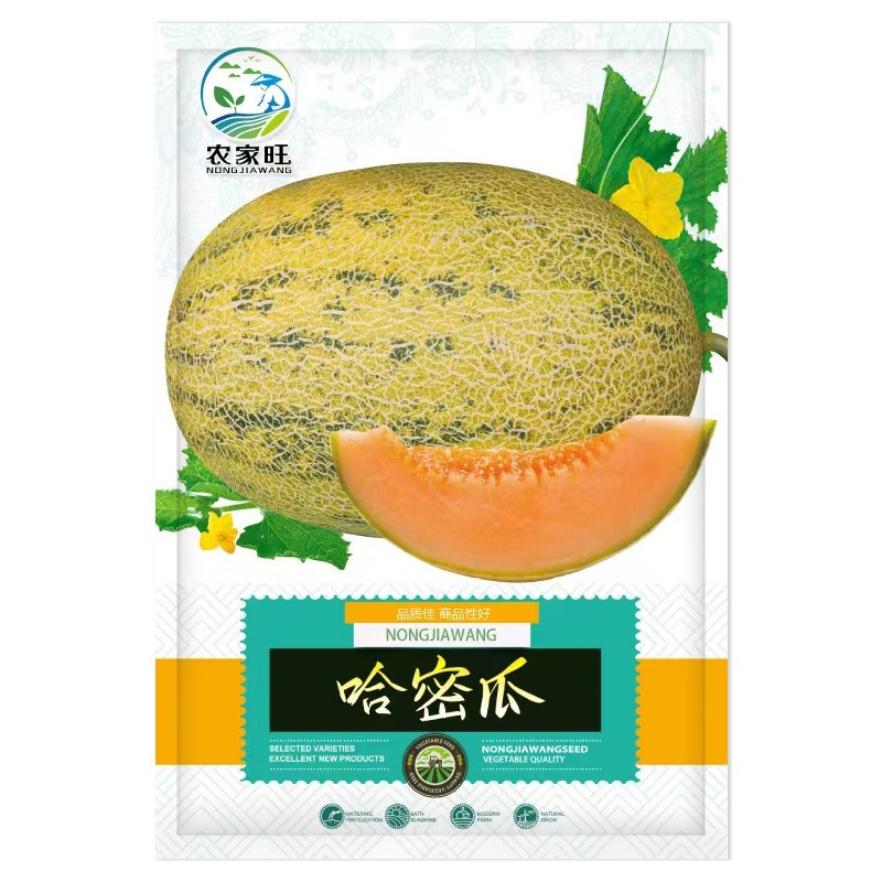 Benih Melon Hami Sunshine 25 biji F1 Import