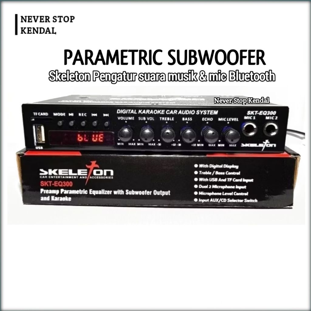 PARAMETRIK EQUALIZER BLUETOOTH KARAOKE SUBWOOFER