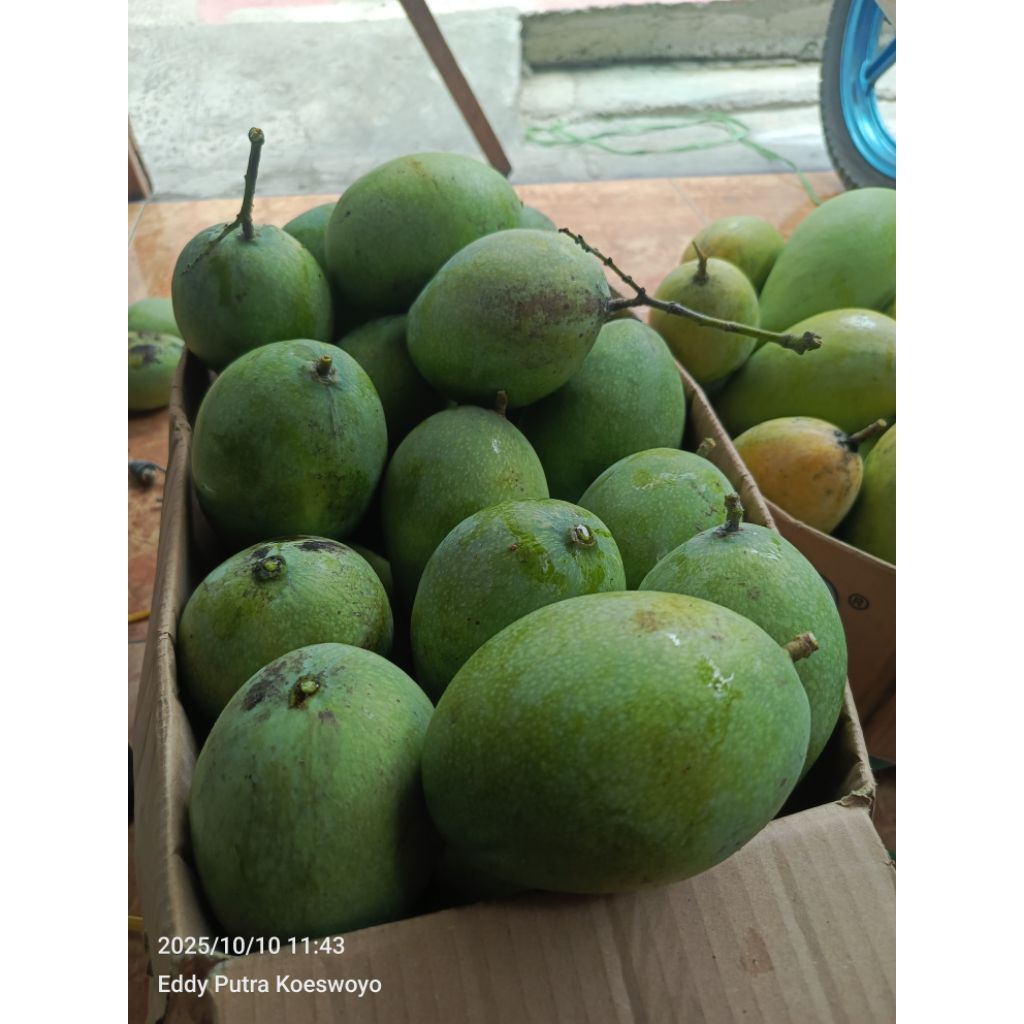 Mangga lalijiwo dan wirasangka