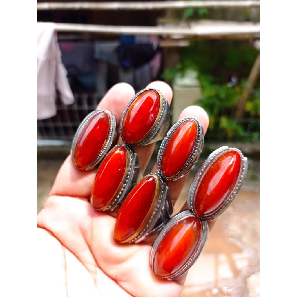 pandan merah sisik betik dan betok ring monel.