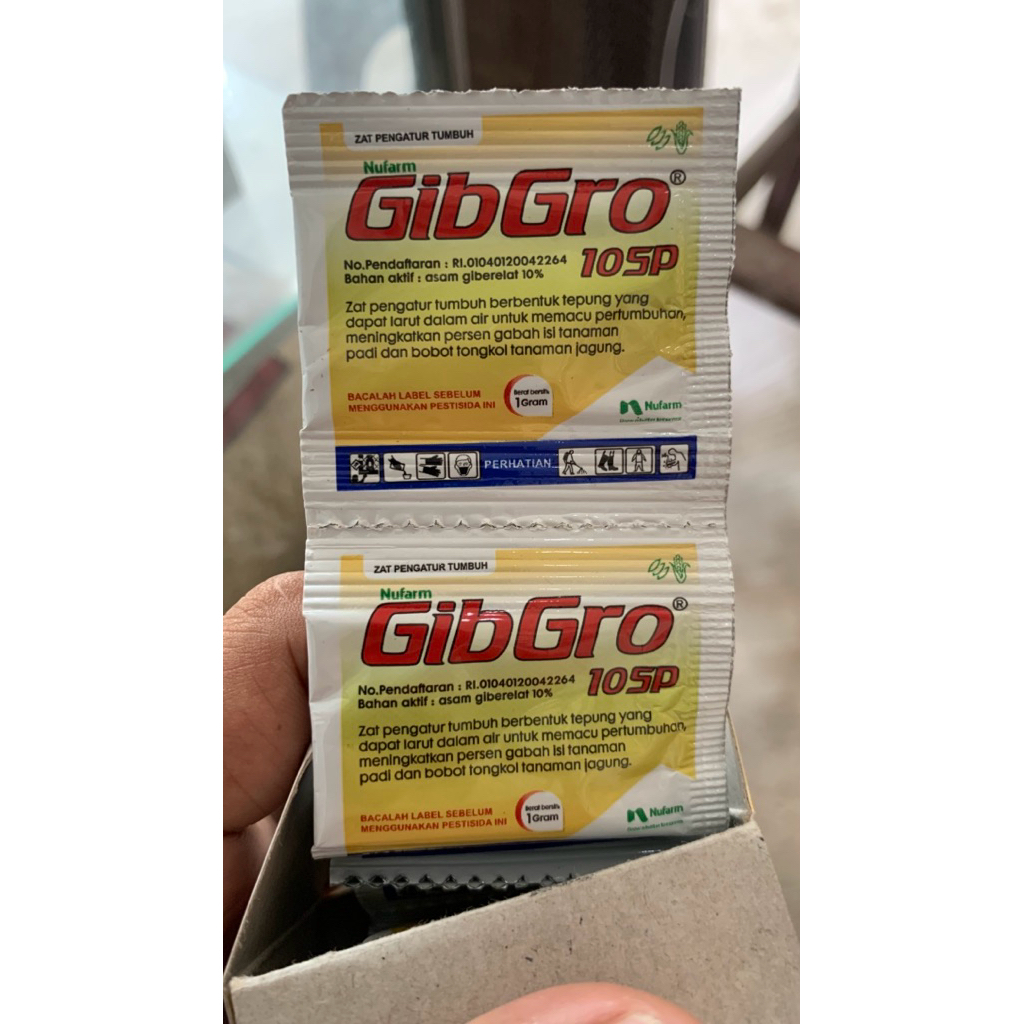 Gibgro 10sp