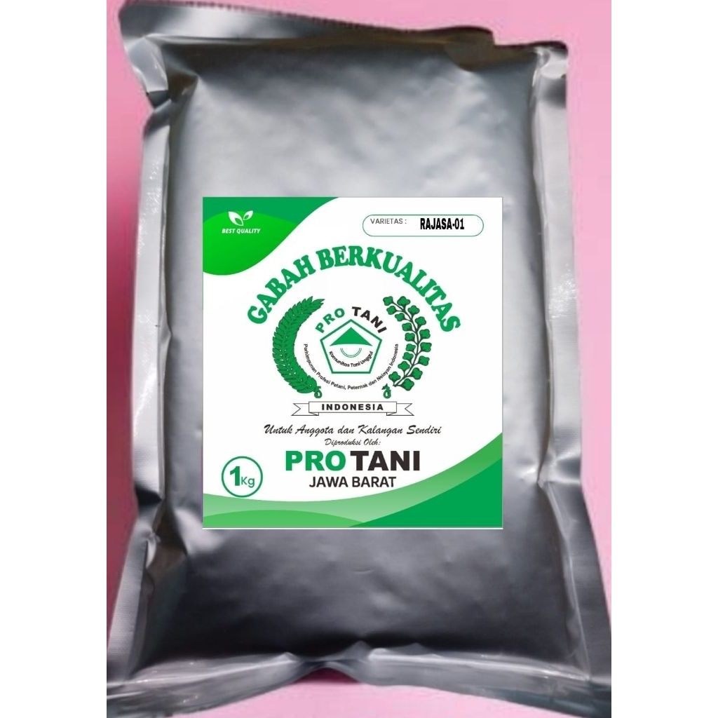 BIBIT PADI RAJASA-01 KEMASAN 1KG