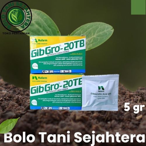 ZPT GIBGRO 20TB / Gibgro Tablet