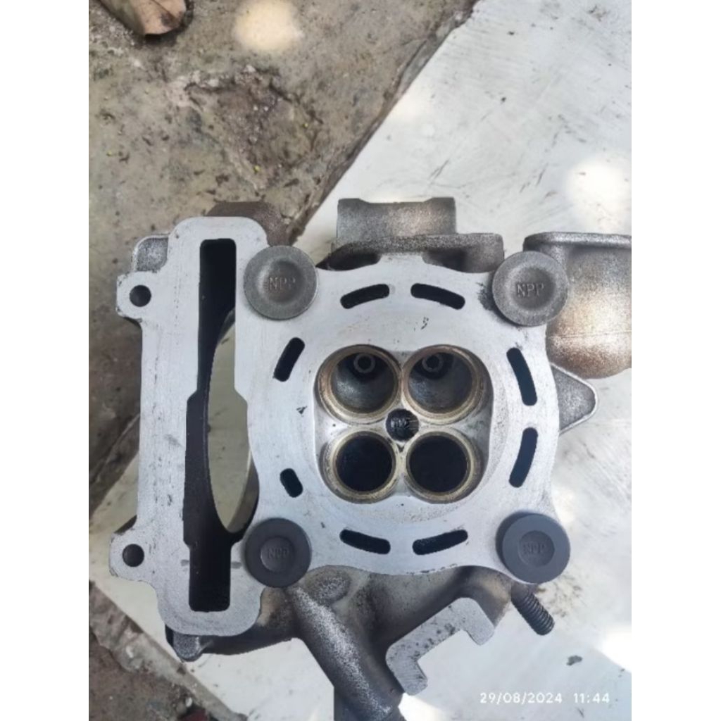 Head Jupiter MX 22/19 sitting allbronze