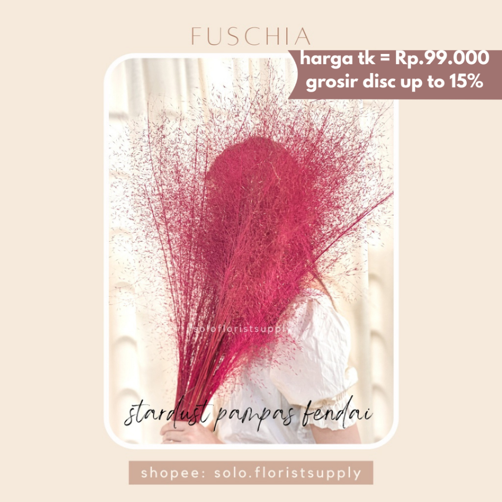 STARDUST PAMPAS FENDAI Home Decor Rayung Kering Rayung Panjang Rayung Natural Rayung Rustic Dekorasi