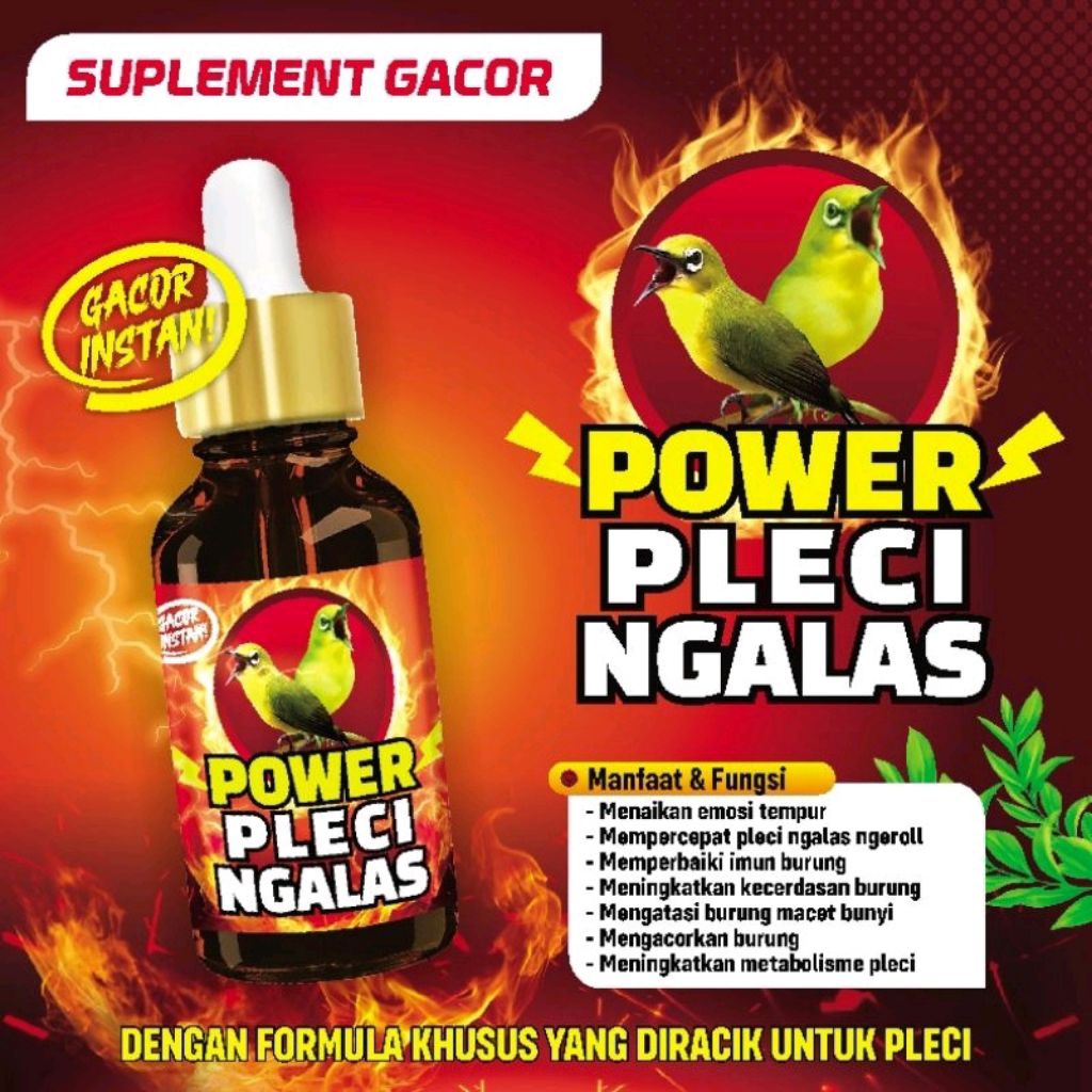 POWER PLECI NGALAS VITAMIN BURUNG PLECI DOPING PLECI DOSIS TINGGI METABOLIS BURUNG PLECI SUPER PLECI