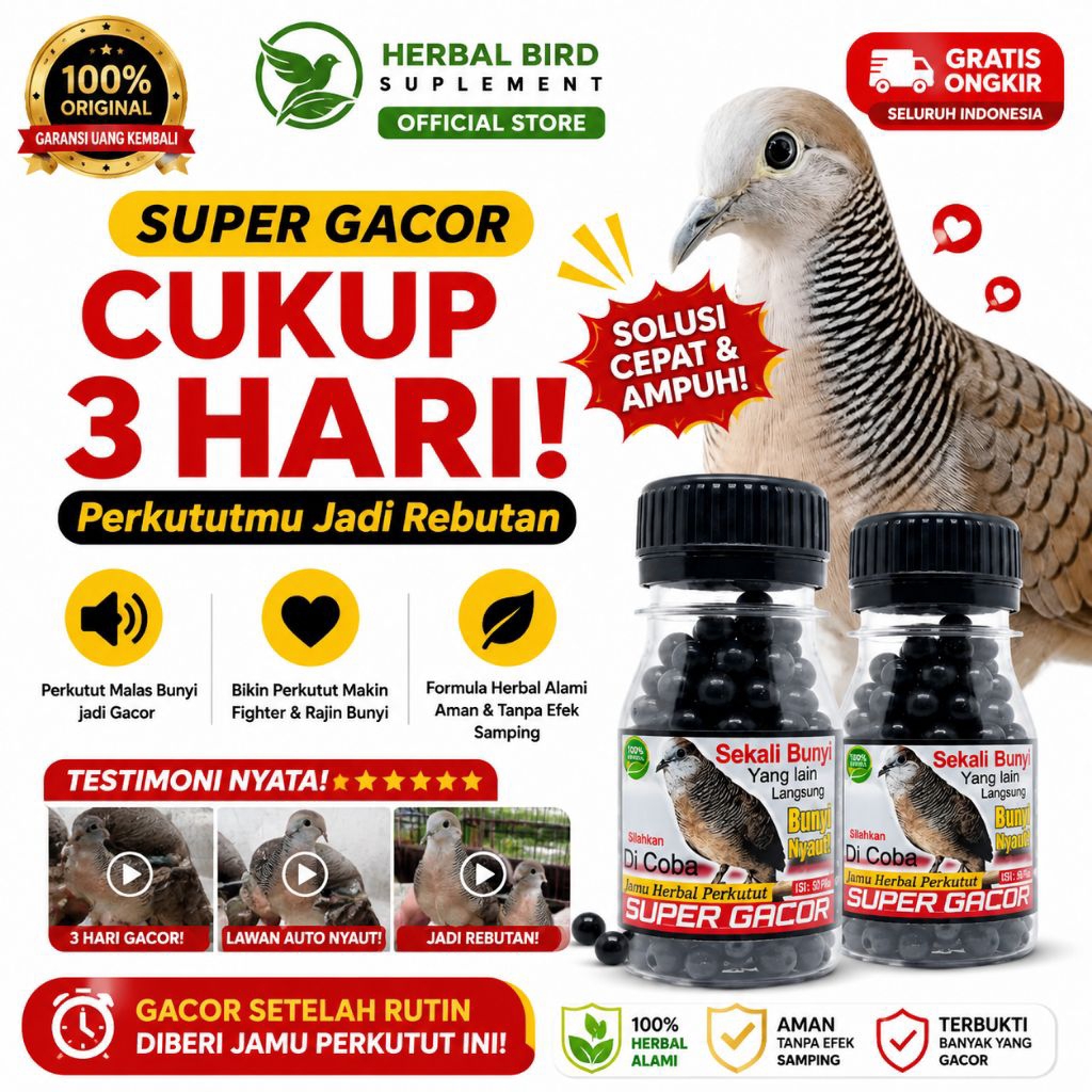 AMPUH JAMU PERKUTUT SUPER GACOR ISI 100 BUTIR obat gacor perkutut full kerot cepat bunyi anti macet 
