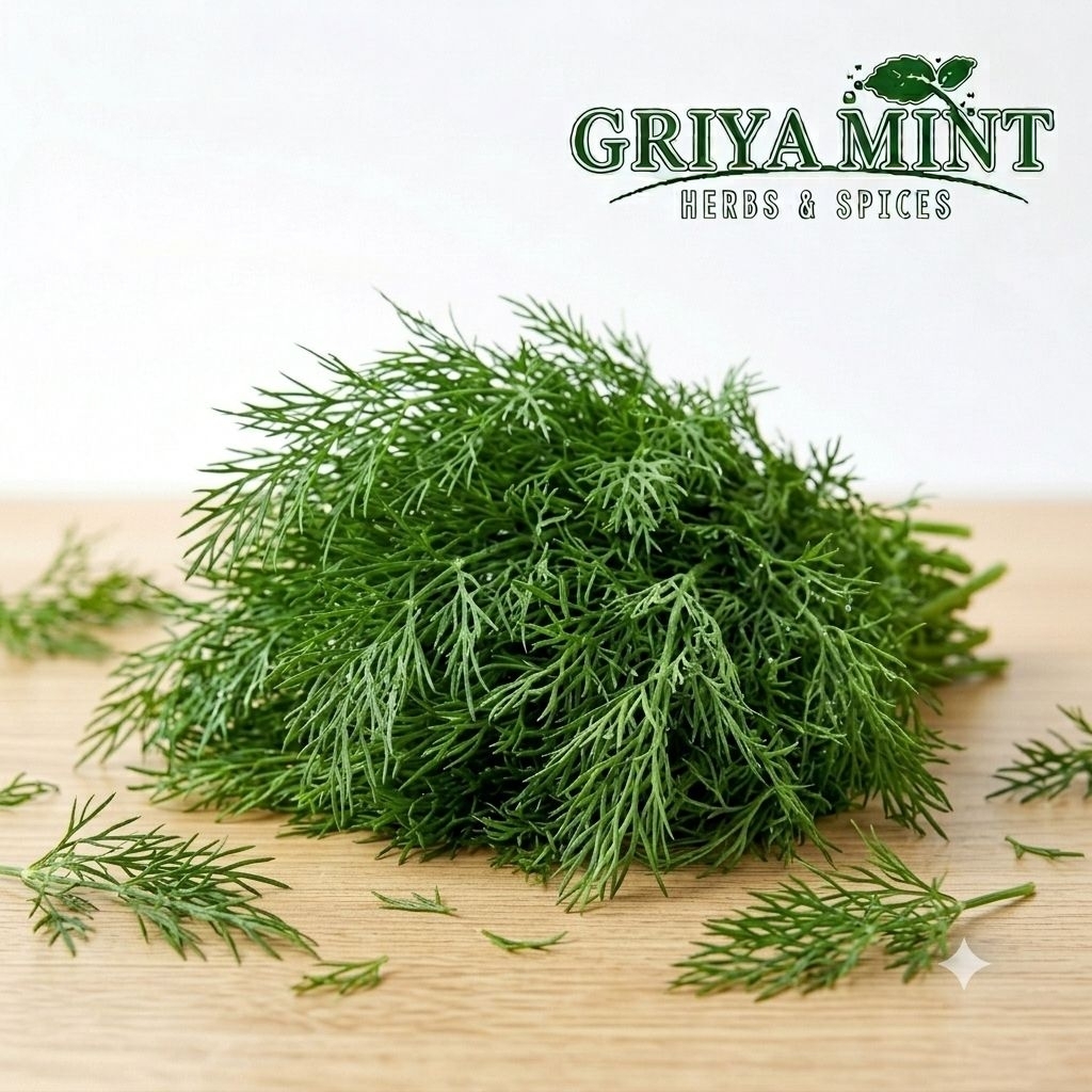 Daun Dill Segar Herb Dill Fresh 20 gram
