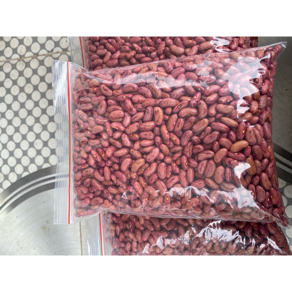 bibit Kacang Merah