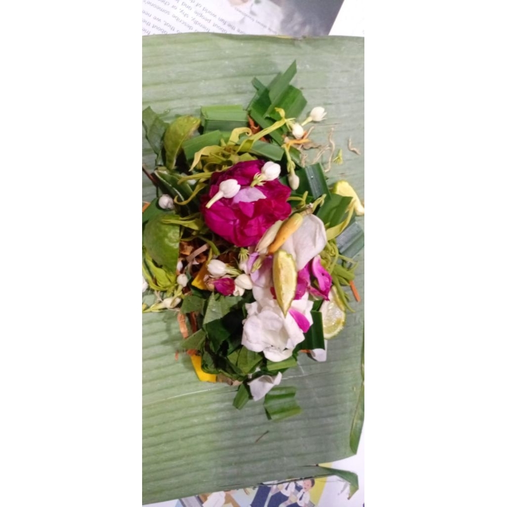 bunga macan kerah untuk mandi segar komplit- untuk jamu fresh- pengiriman setiap hari