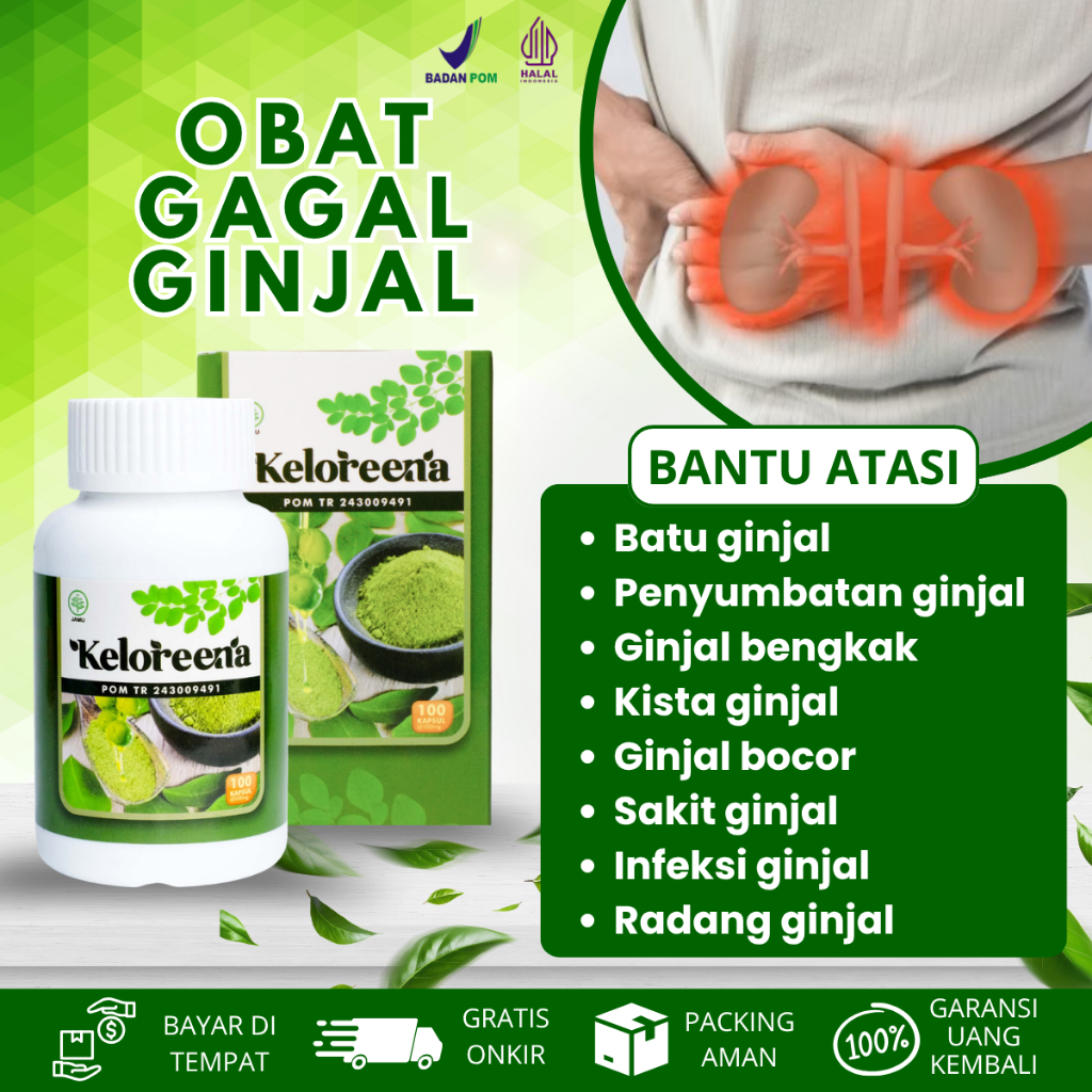 Obat Gagal Ginjal, Memperbaiki Fungsi Ginjal Infeksi Ginjal, Obat Batu Ginjal  Radang Ginjal Bengkak