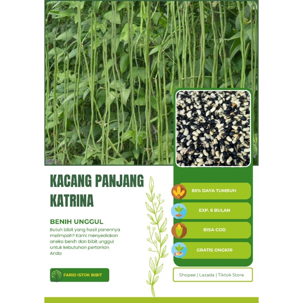 Benih Unggul KACANG PANJANG KATRINA (85 biji)