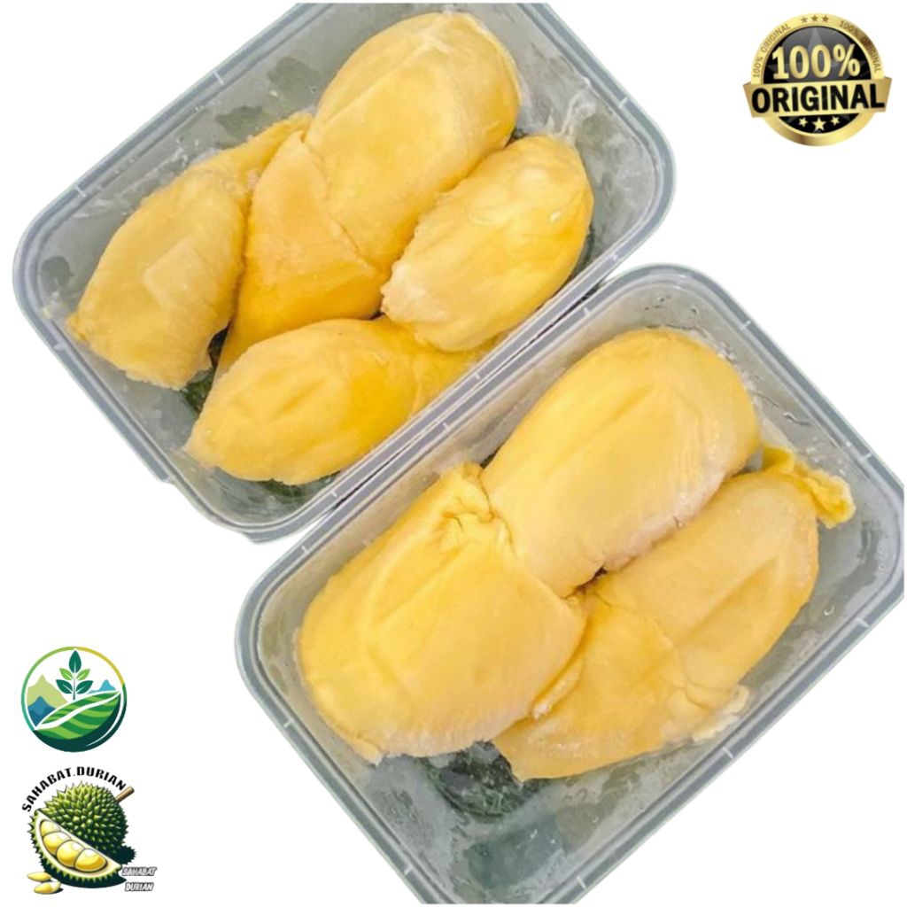 Durian montong | Durian montong kupas 500 gram | Durian montong manis legit