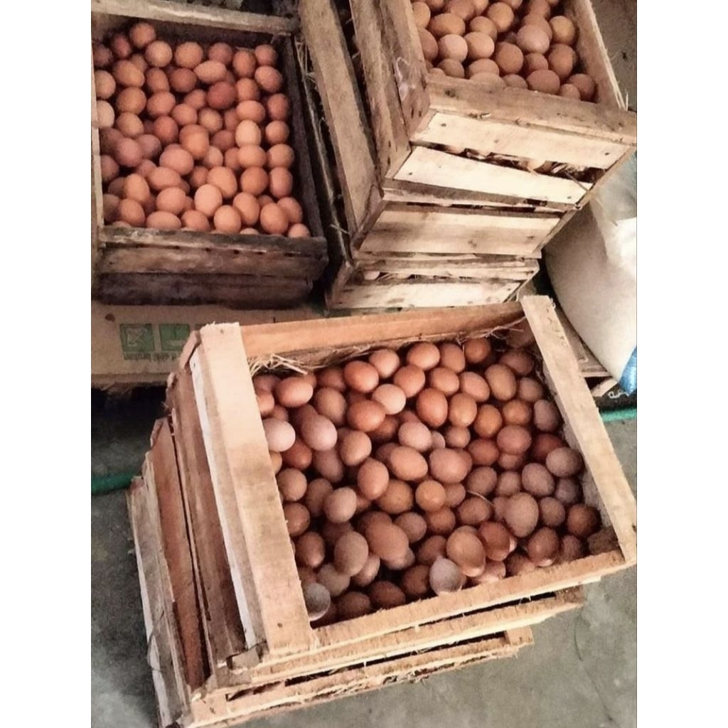 FREE PETI PURBALINGGA _ telur merah 1peti berat 10kg
