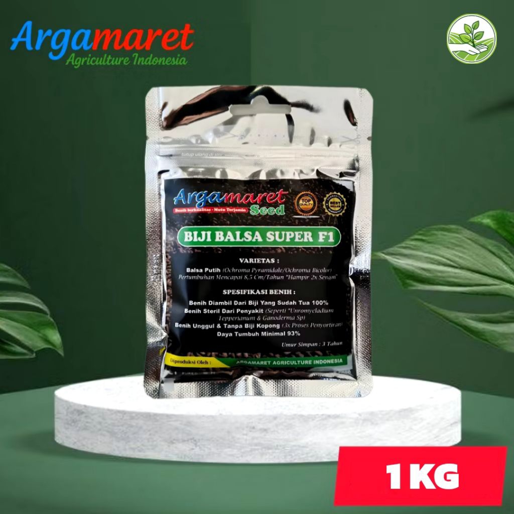 1KG Biji Balsa Super F1 - Benih Kayu Balsa Putih - Biji Pohon Balsa Cepat Tumbuh Kualitas Unggul Sia