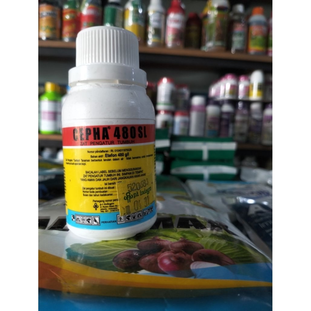 CEPHA pgr 100ml